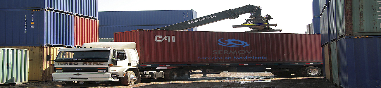 ALMACENAJE DE CONTENEDORES DESPOSITO TRANSPORTE TERMINAL DE DESCONSOLIDADO TRASVASIJE MANIPULACION DE CARGA TRASVASIJE MANUAL CONSOLIDADO DE CARGA ESTIBA CUADRILLA DE PERSONAL PERSONAL PARA DESCARGA DE MANIPULACION DE CONTENEDORES FUMIGACION